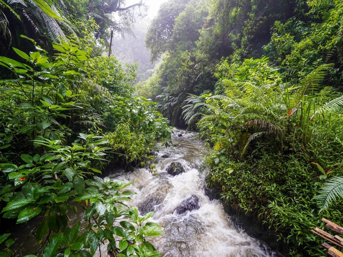 Oyo Homes 90915 Eco Tourism Desa Cihanjuang Rahayu Ciwangun Indah Camp Villas Bongkar Exteriör bild