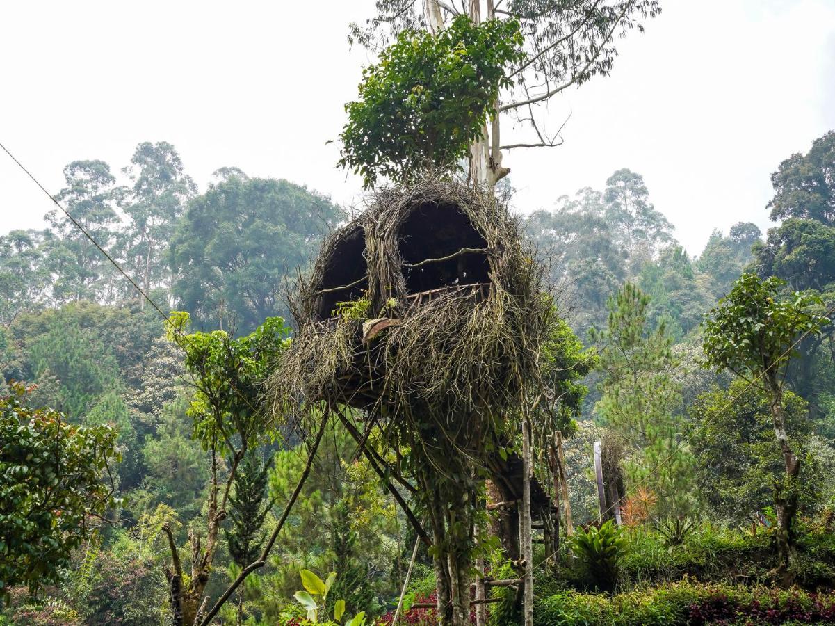 Oyo Homes 90915 Eco Tourism Desa Cihanjuang Rahayu Ciwangun Indah Camp Villas Bongkar Exteriör bild