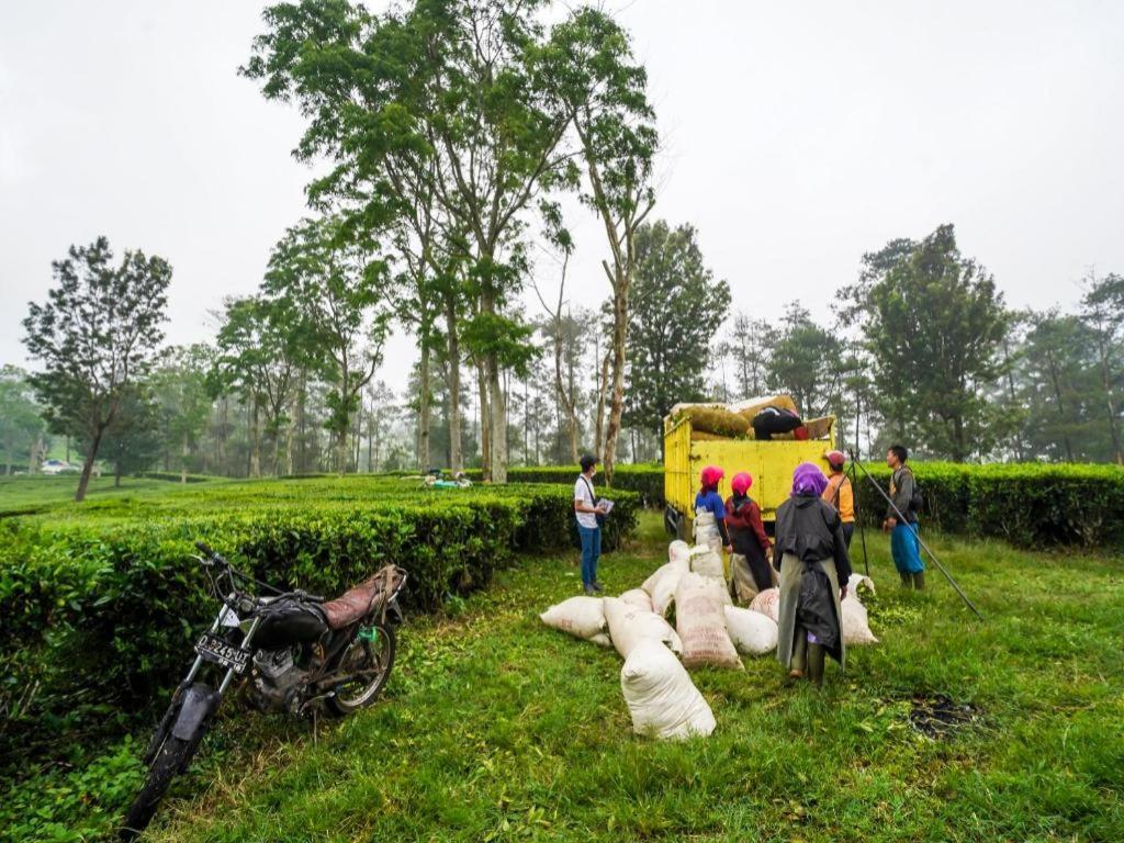 Oyo Homes 90915 Eco Tourism Desa Cihanjuang Rahayu Ciwangun Indah Camp Villas Bongkar Exteriör bild